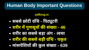 Human Body Important Questions